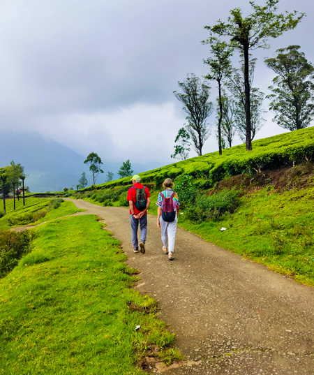 fly catcher adventures guided sight seeing tour at munnar