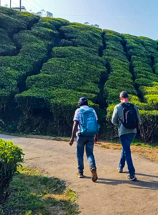 Fly Catcher Adventures: Your Premier Choice for Travel and Trekking in Munnar, Kerala