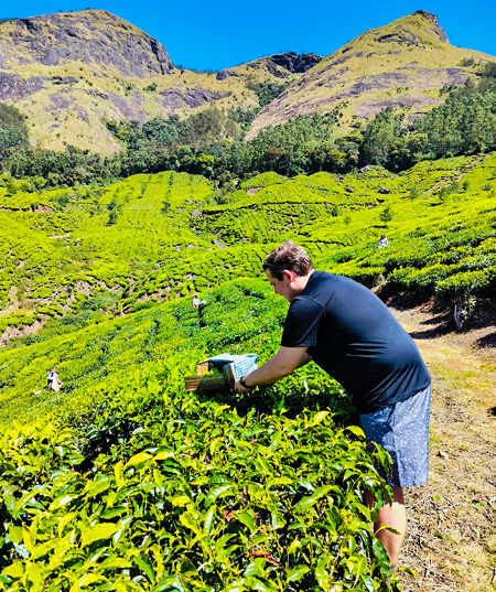 fly catcher adventures tea trail at munnar kannan davan hills