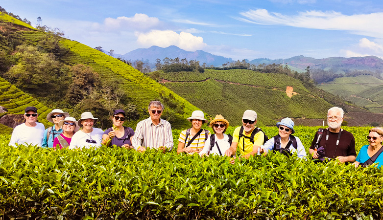 fly catcher adventures tea trail at munnar