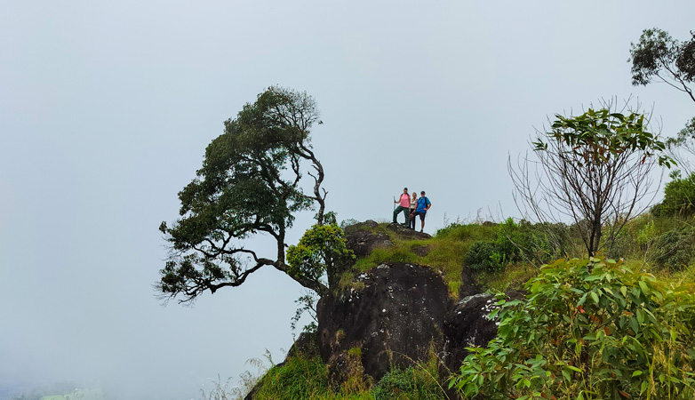 fly catcher adventures trekking